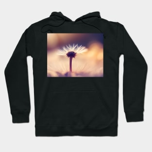 Dandelion Hoodie